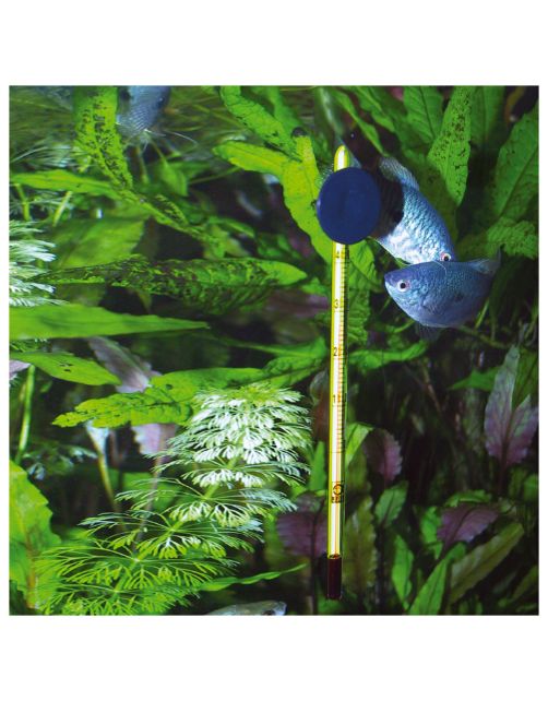Jbl Aquariumthermometer Slim - Aquarium Toebehoren - 1 stuk