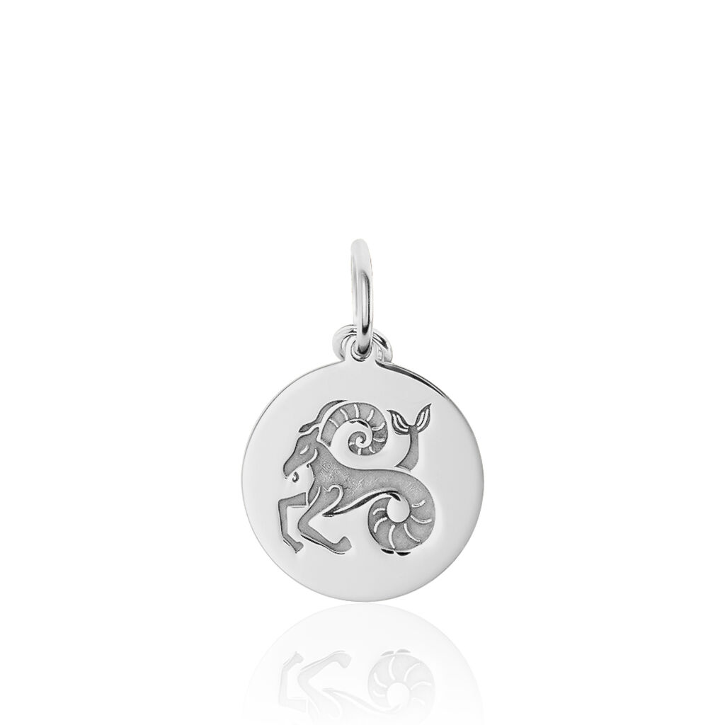 Pendentif Zodiaque Rond Argent Blanc
