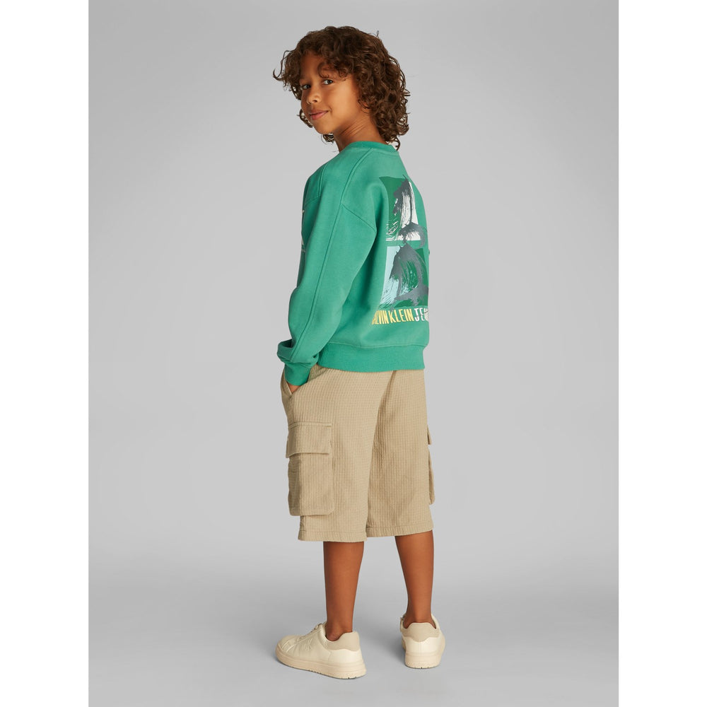 Køb Calvin Klein Bahama Green Summer Backprint Cn Hættetrøje