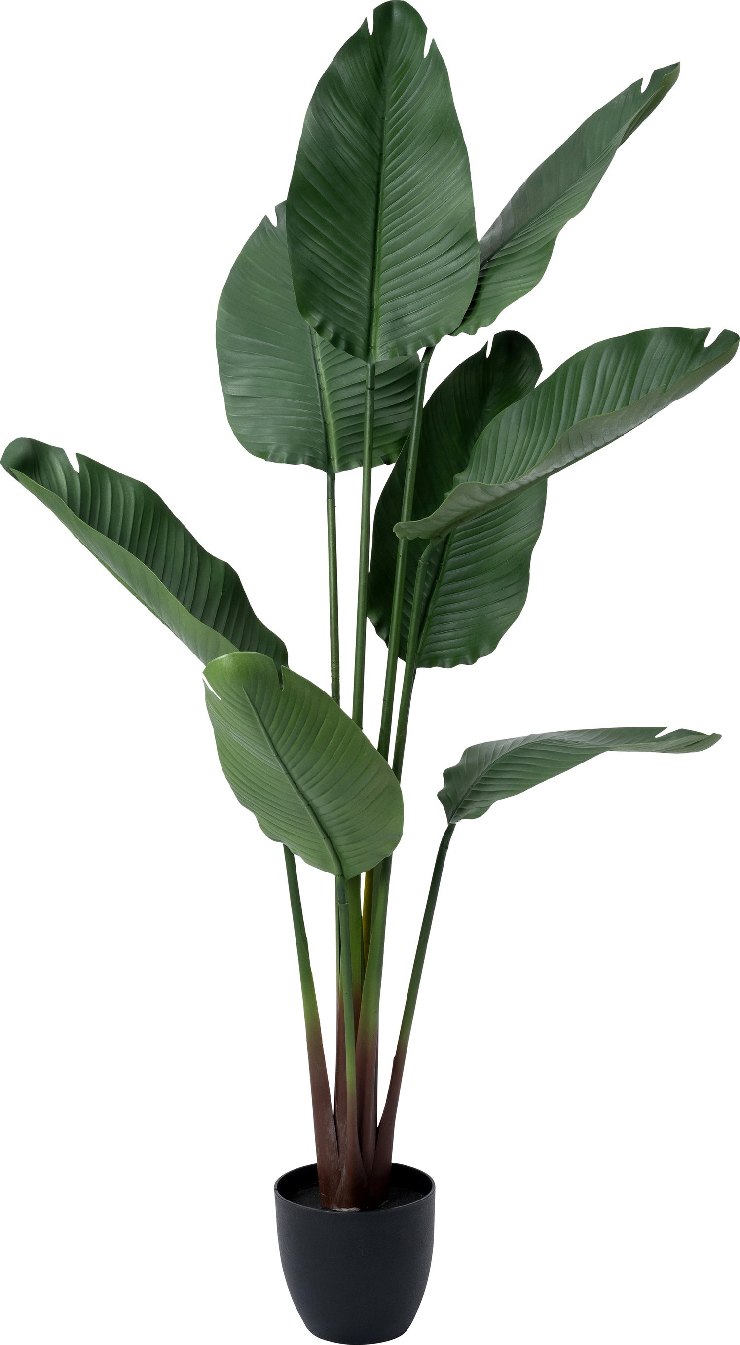 Intratuin kunstplant Strelitzia groen 75 x 75 x 159 cm