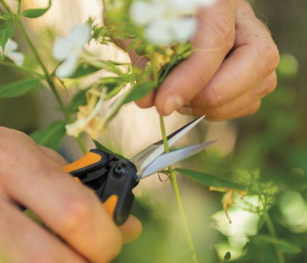 Fiskars Gartenschere Micro-Tip SP13