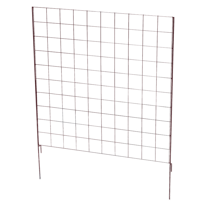 Espalier 74x95 cm