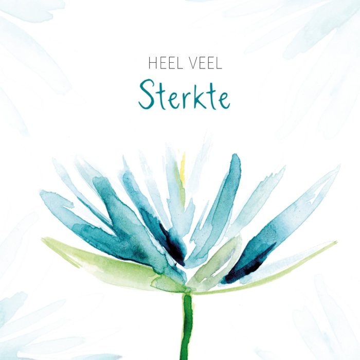 Michelle Dujardin | Sterkte kaart | Oma