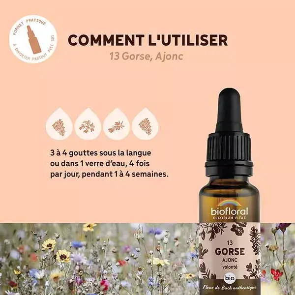 Biofloral Flor De Bach 13 Gorse Ajonc Conte Gouttes Bio Demeter 20 ml