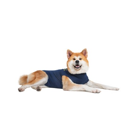 Medical Pet Shirt Hond