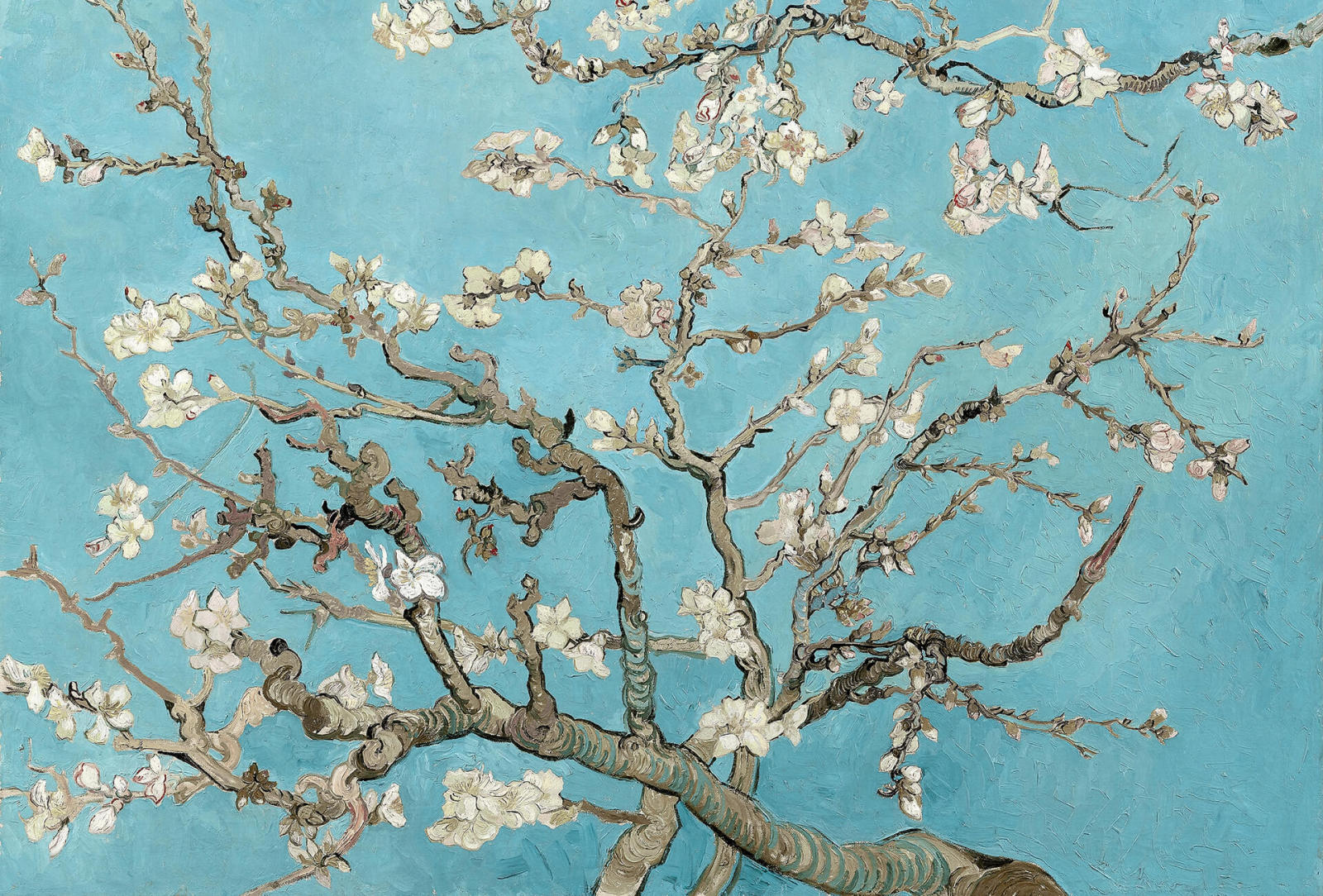 Fototapete DESIGNWALLS 2.0 - blau-grau - Kirschblüten - 2,6 Meter