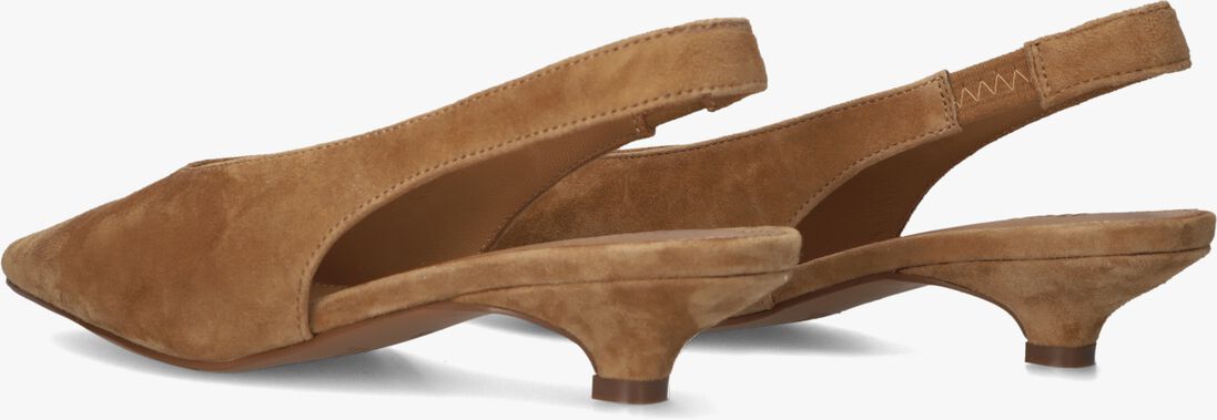 camel toral hakken lenore