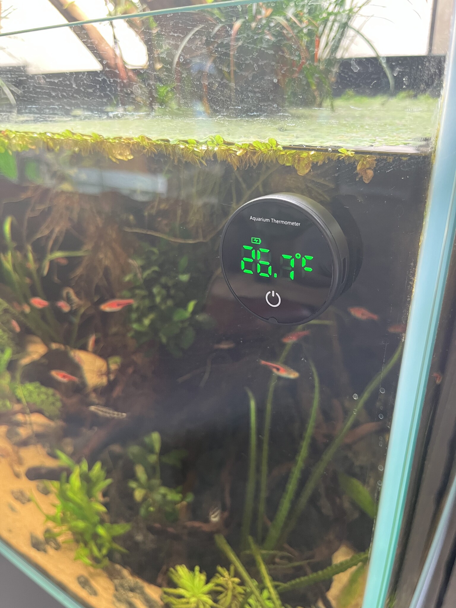 Aquarium Thermometer Oplaadbaar