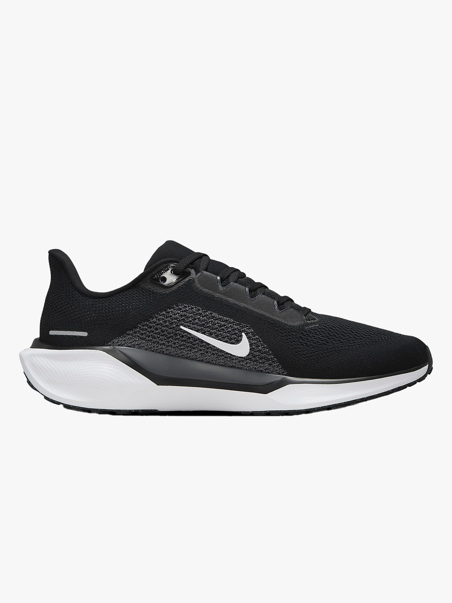 Pegasus 41