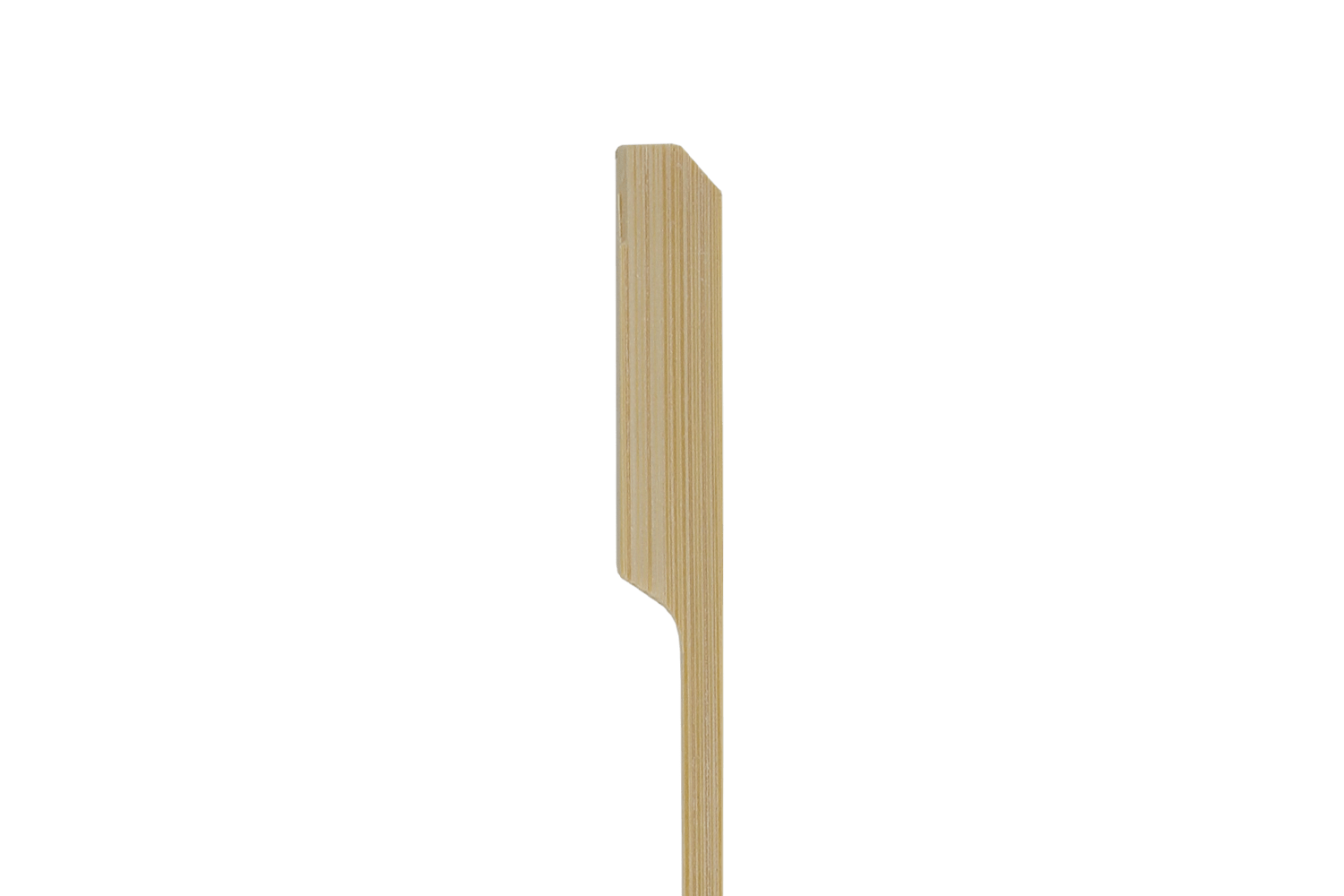 BIO Bamboe pin prikker 25cm