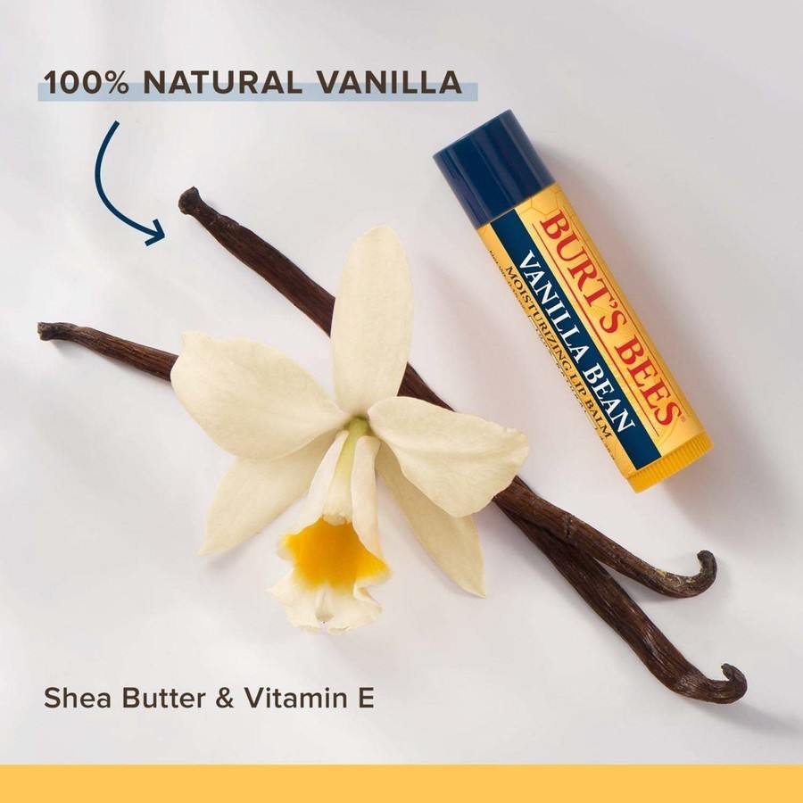 Burt's Bees Lip Balm Duo Beeswax & Vanilla 2pcs