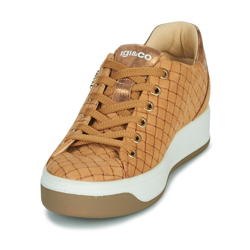 IgI&CO - 1659033 - Camel