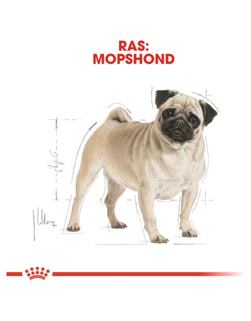 Royal Canin Pug (Mopshond) Adult - Hondenvoer