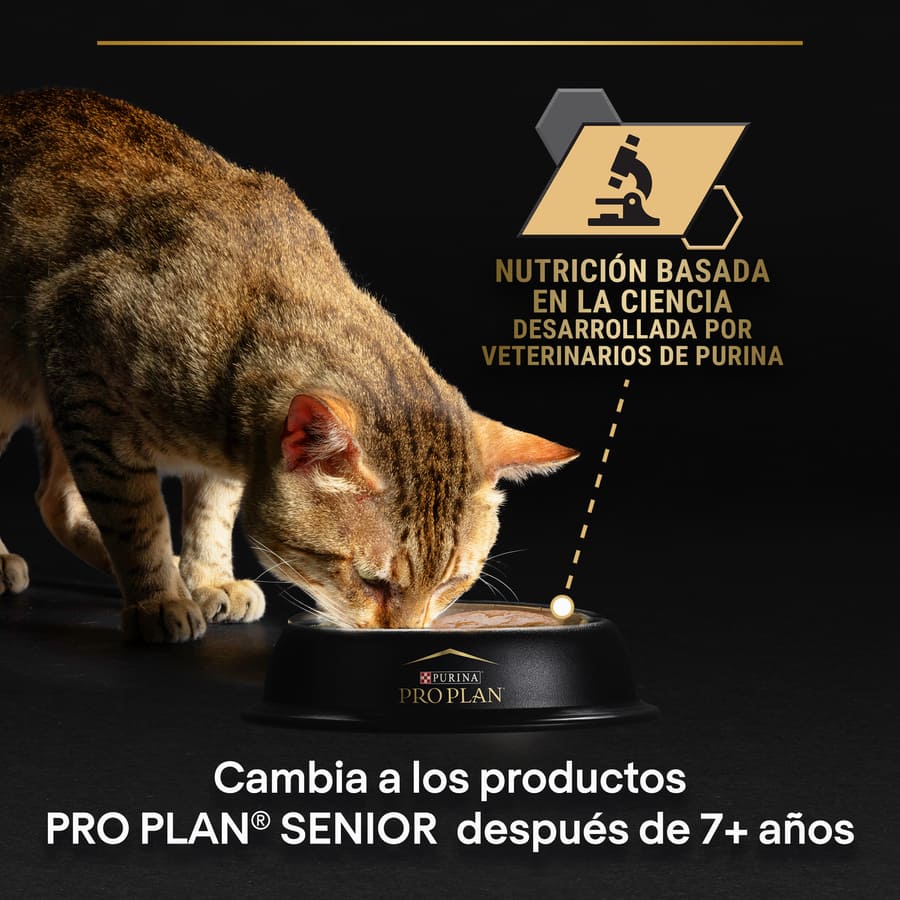 Pro Plan Multipack Sobres Bacalao para gatos esterilizados