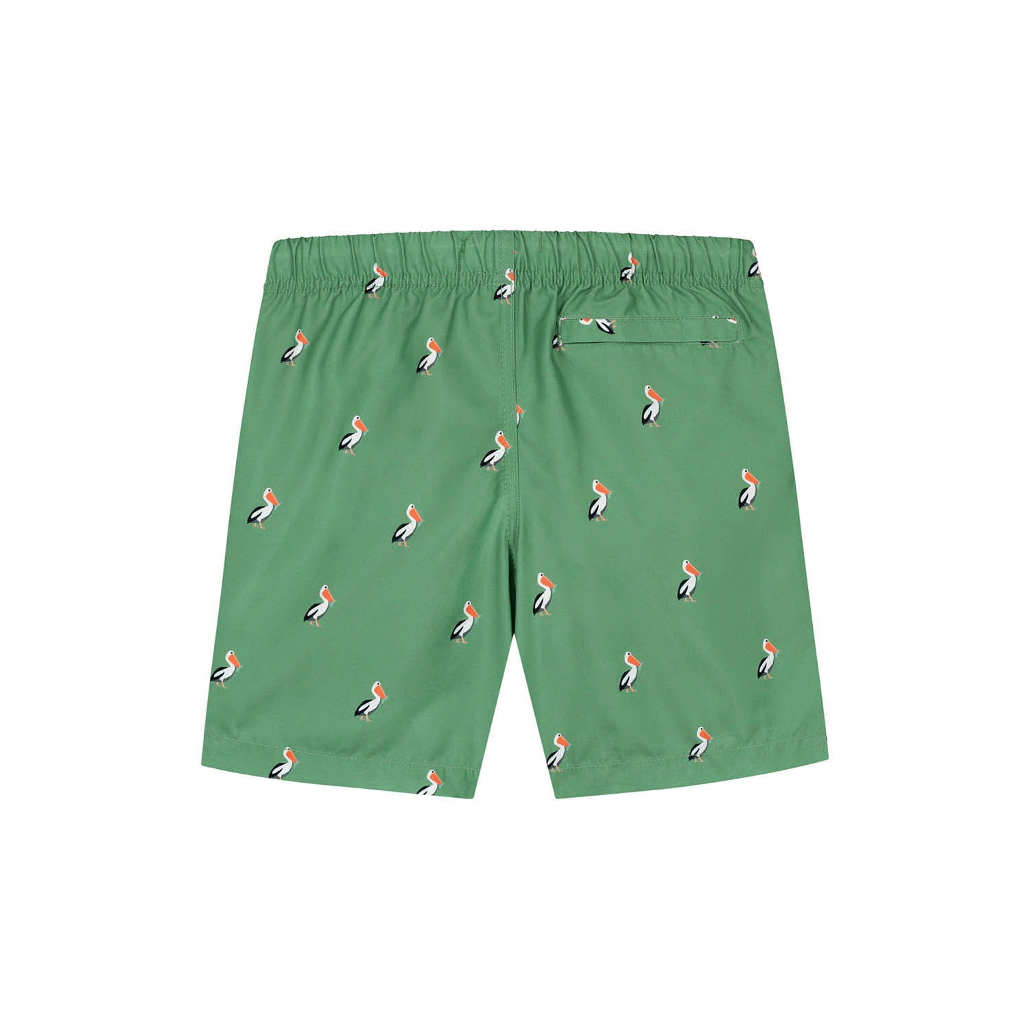 Shiwi  Swimshort Pelican Jongens