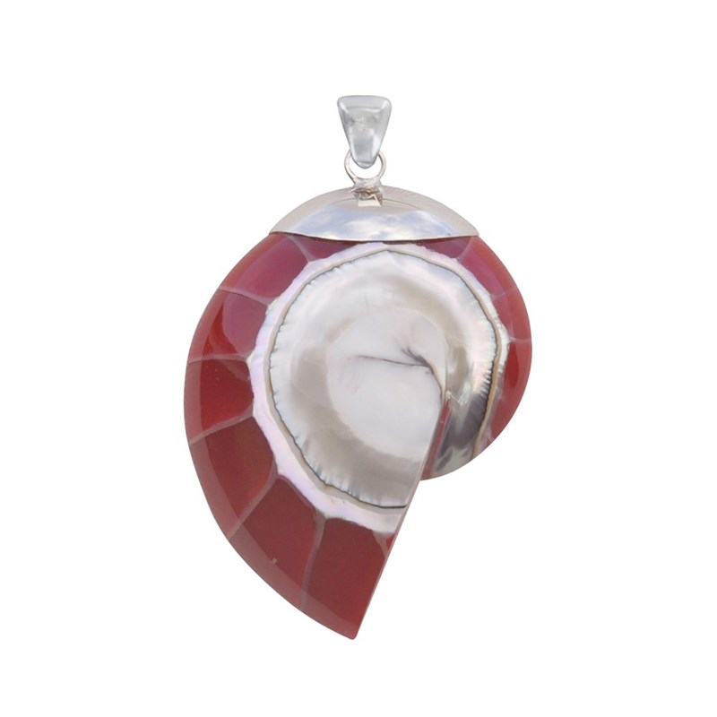 Pendentif Argent Nautile Coquillage et Résine