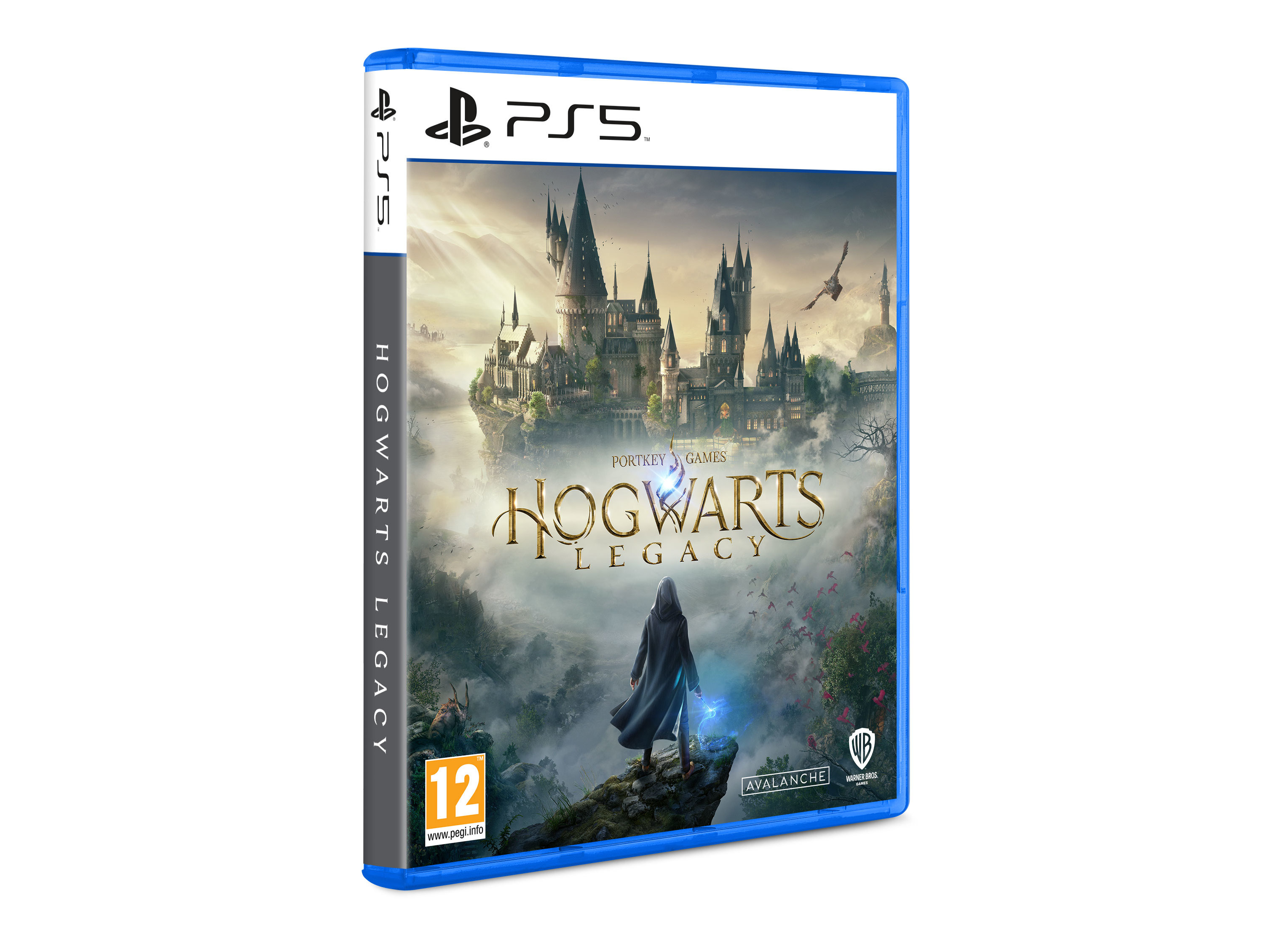 JOGO PS5 HOGWARTS LEGACY