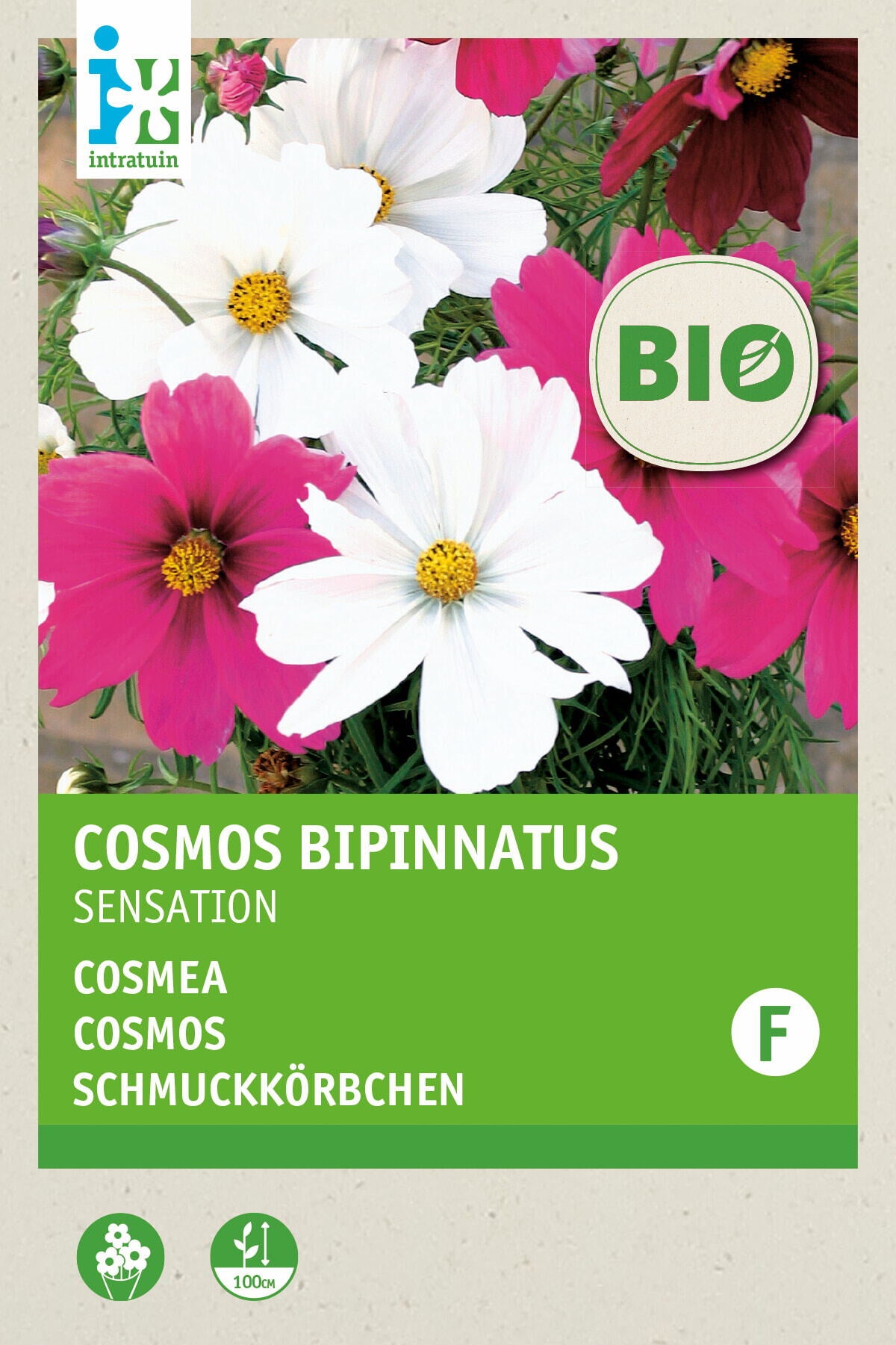 Biologische Intratuin bloemenzaad Cosmea gemengd (Cosmos 'Sensation')