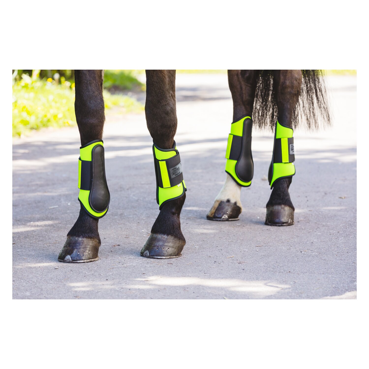 PROTECT by Horse-Friends Reflex-Gamaschen, vorne  - gelb