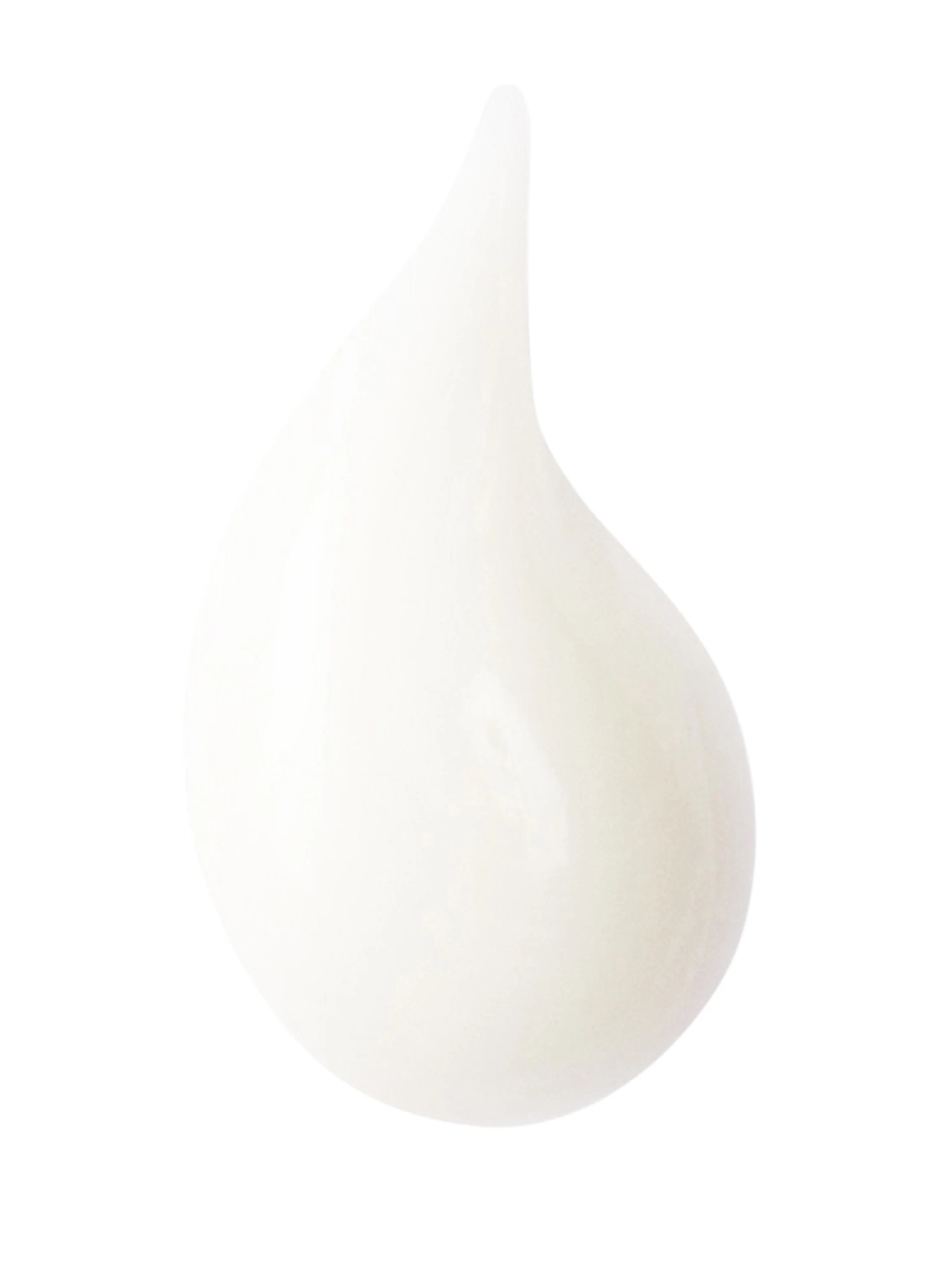 HAIR rituel by sisley MASQUE PURIFIANT AVANT-SHAMPOING