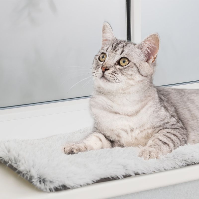 Tapis de fenêtre Trixie Harvey