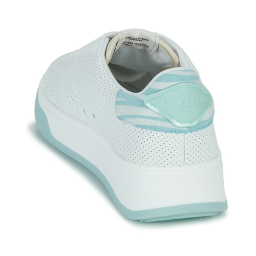 Serafini - J.CONNORS - Blanc / Bleu