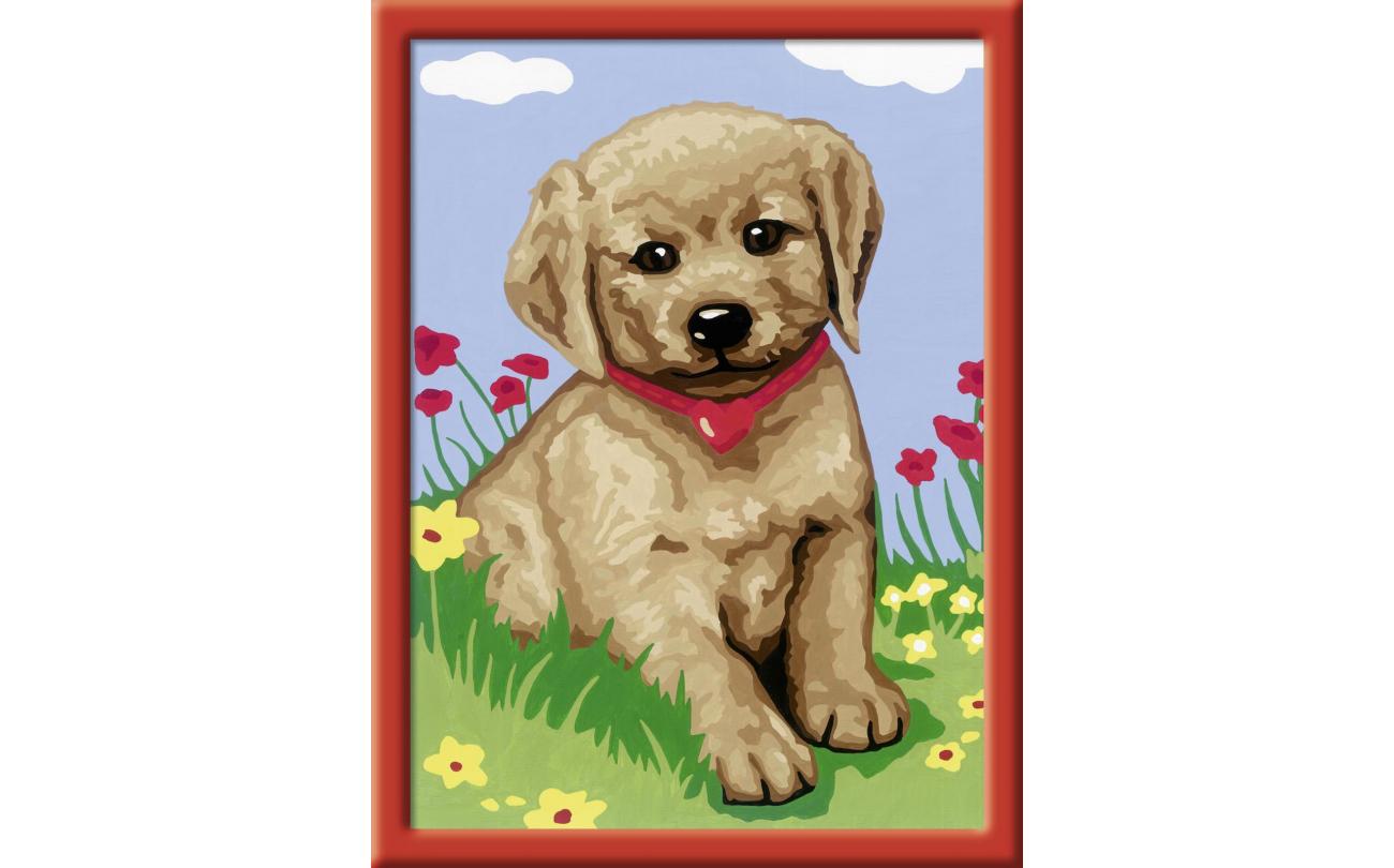 Kleine vriend