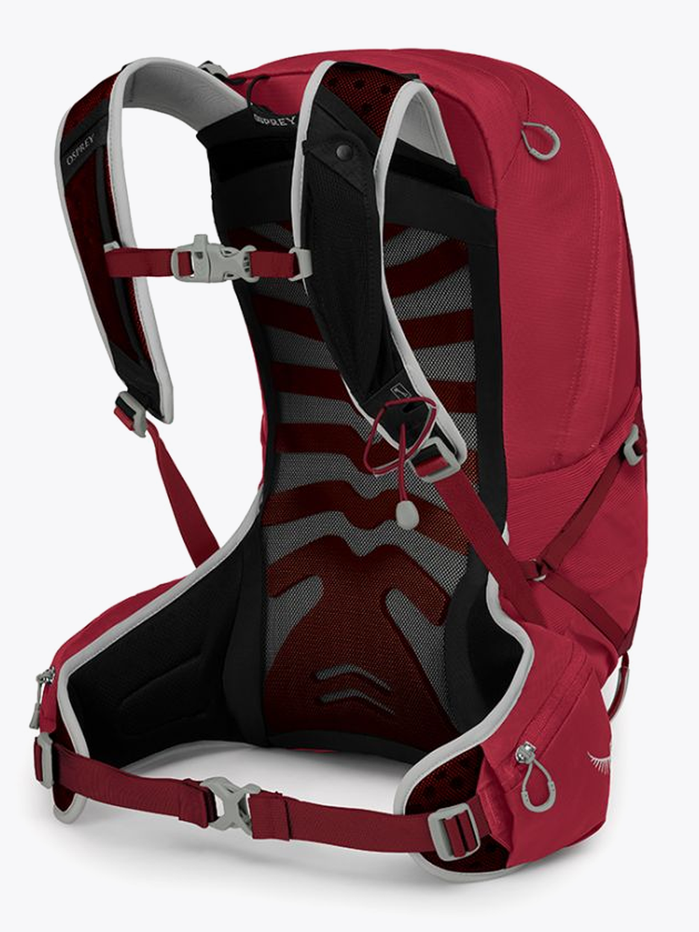 Osprey Talon 22