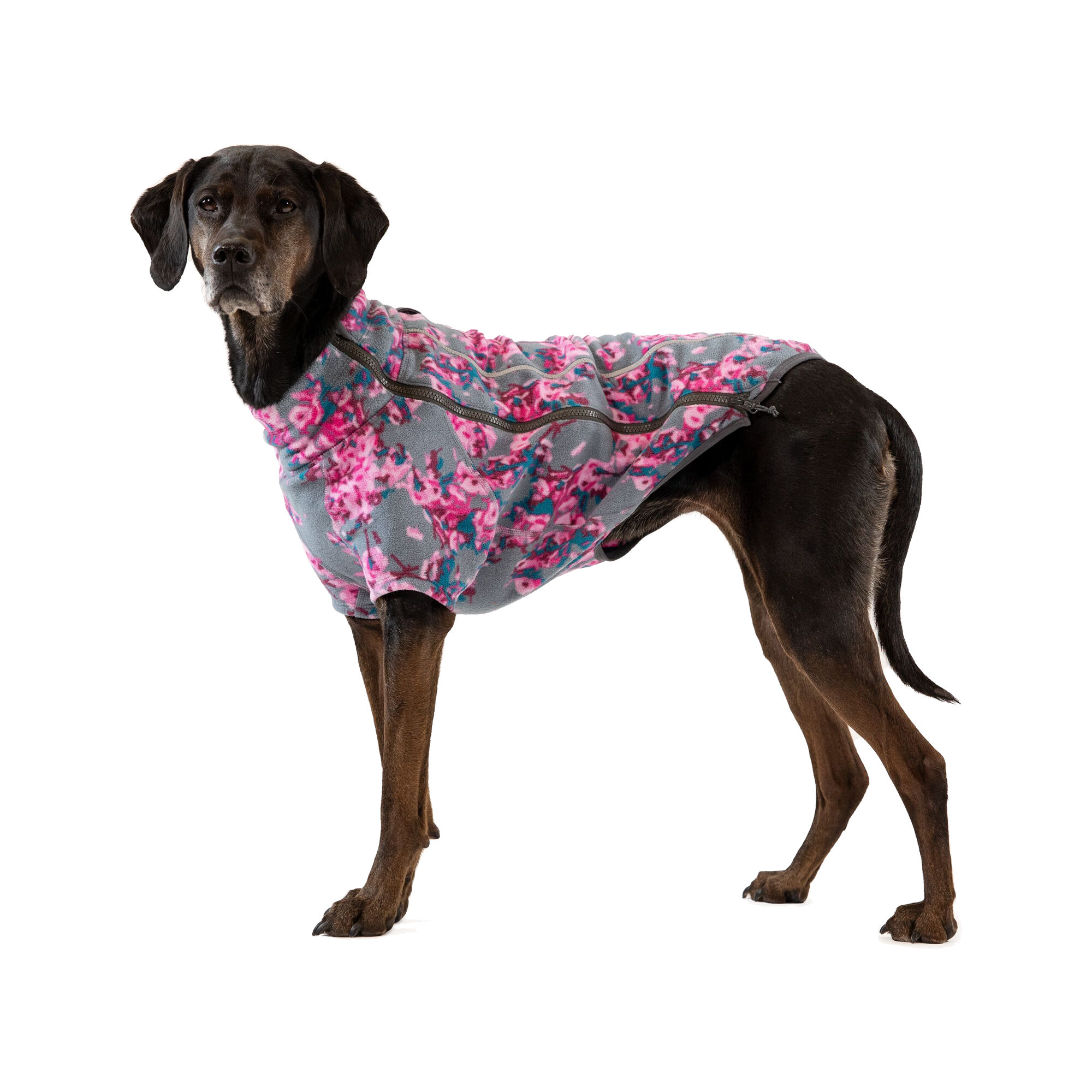 Ruffwear Climate Changer Fleece Jacket