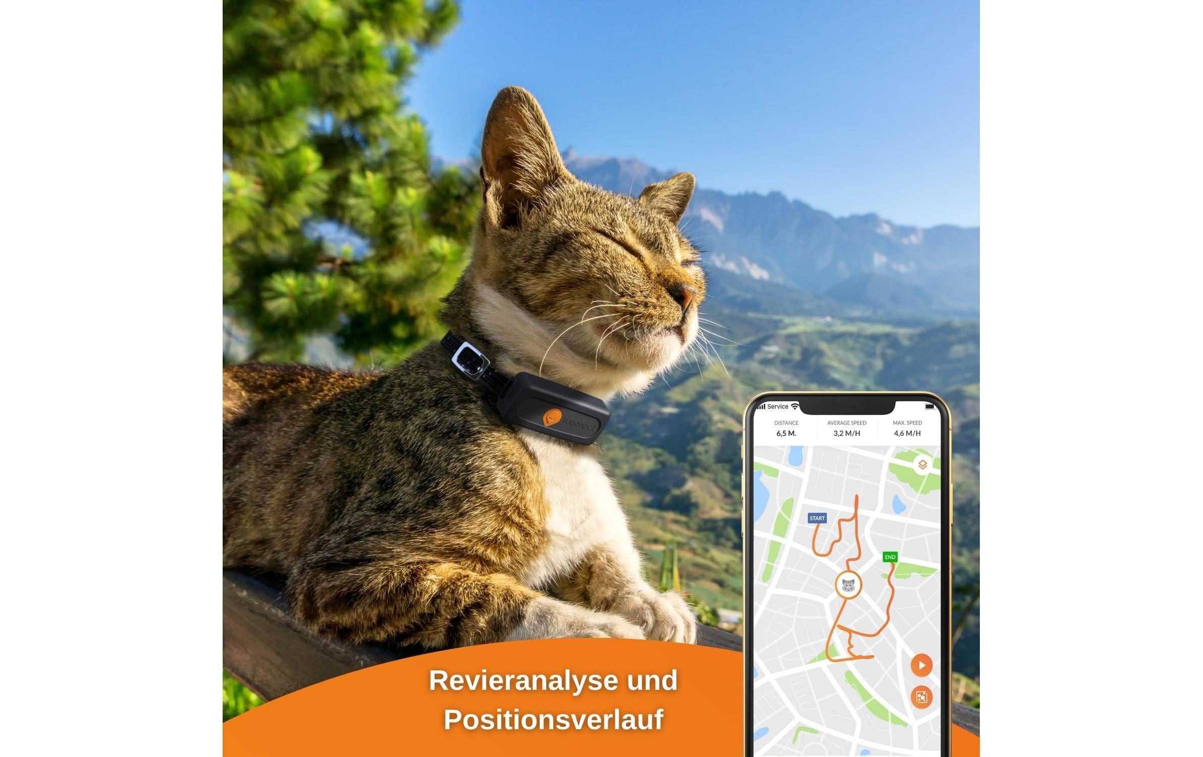 GPS-Tracker »Weenect XS für Katzen Schwarz«