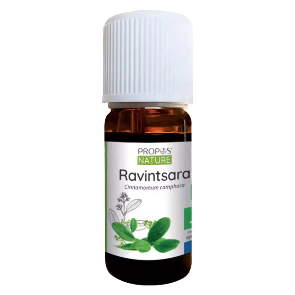Óleo Essencial de Ravintsara Orgânico para Aromaterapia e Fitoterapia da Propos' Nature 10ml