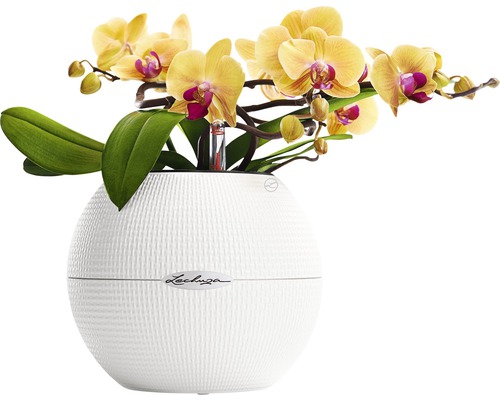 Lechuza Puro Color kunststof bloempot, Ø 20 cm, H 16 cm, wit, inclusief zelfbewateringssysteem en waterniveau-indicator
