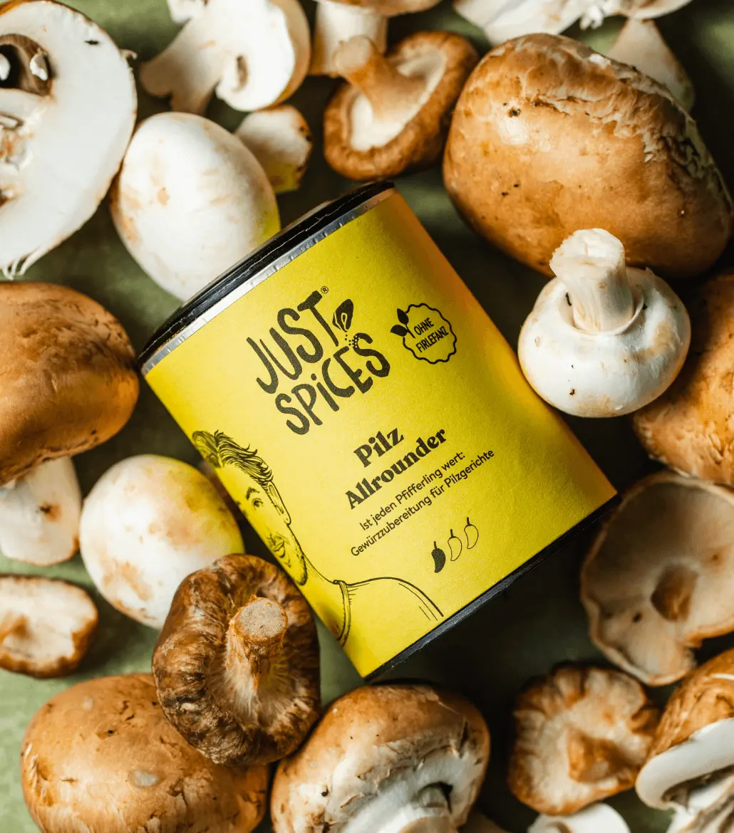 Pilz Allrounder