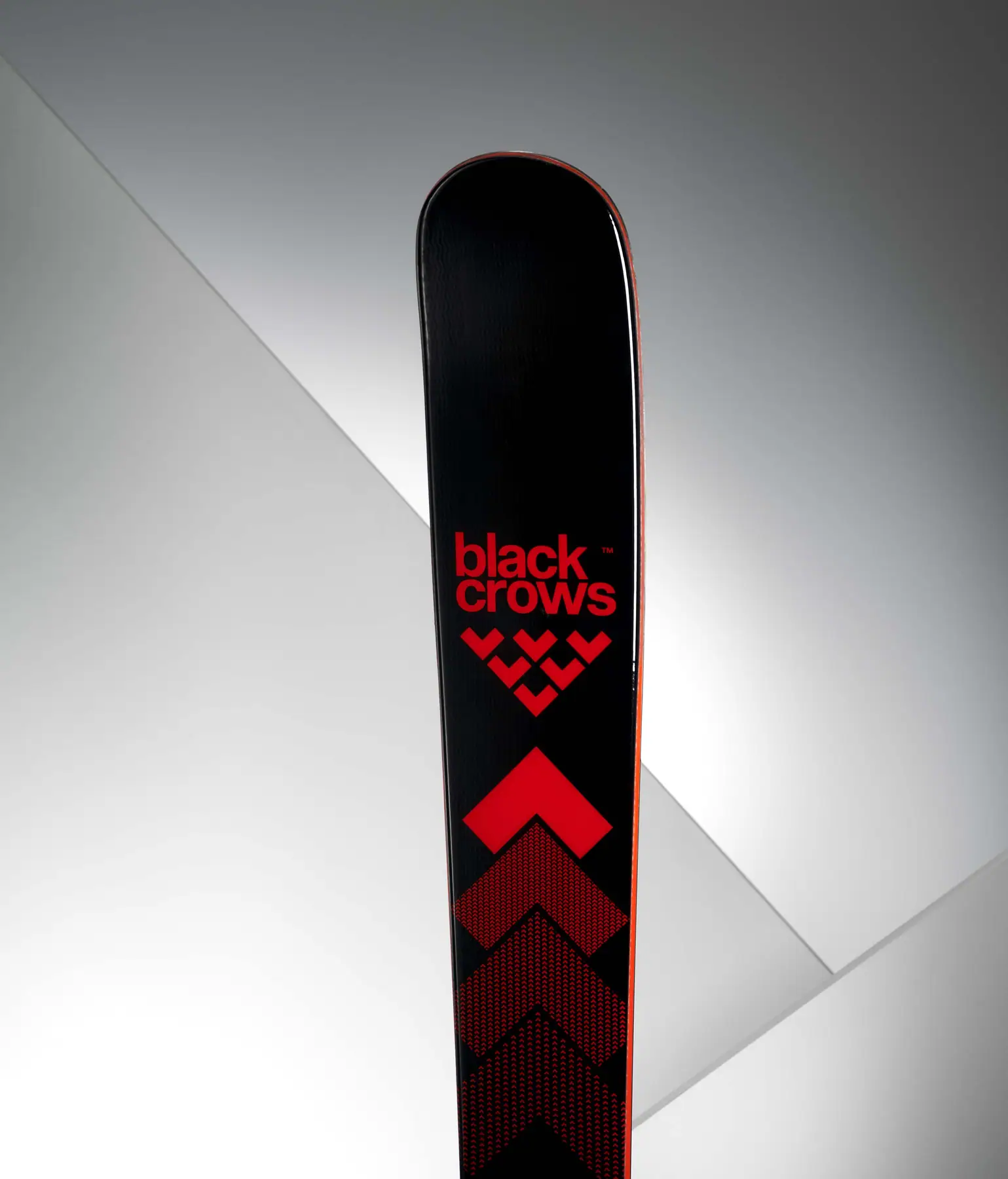 Black Crows Camox Juniorski | SkatePro