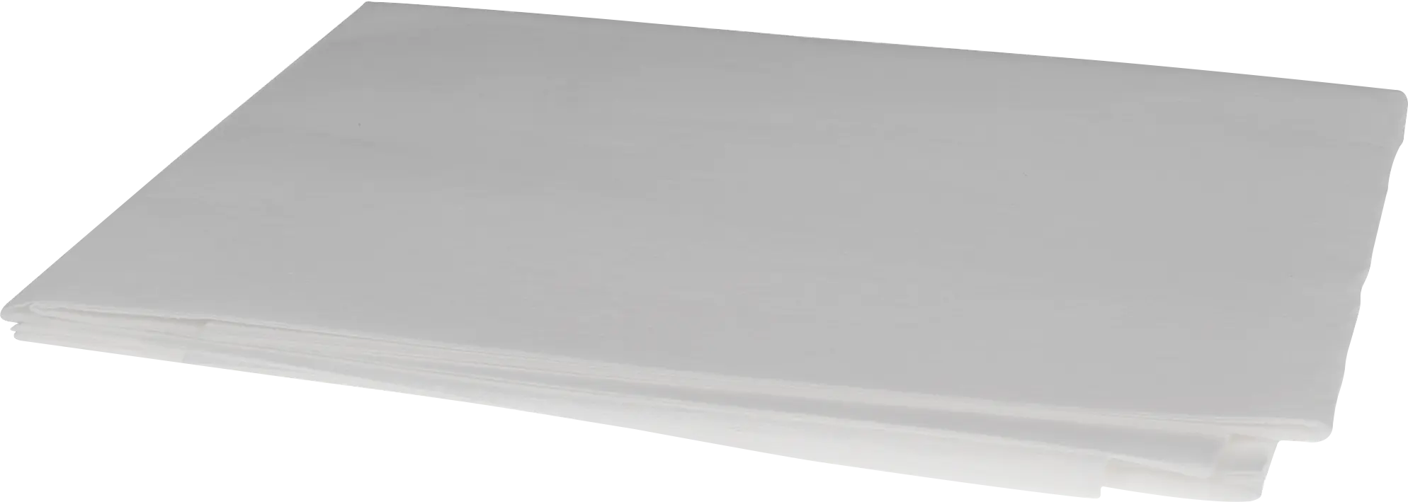 Vetfilter voor Afzuigkappen - 28 x 54,5 cm DHZ2140 11005748 • DHZ2140