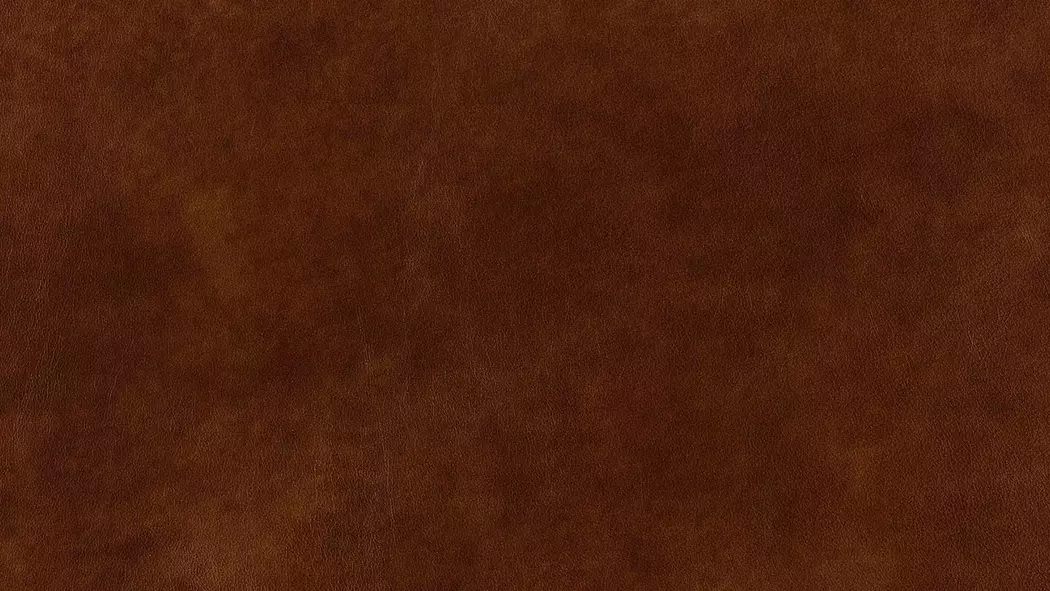Kopfstütze 24252 foscaari