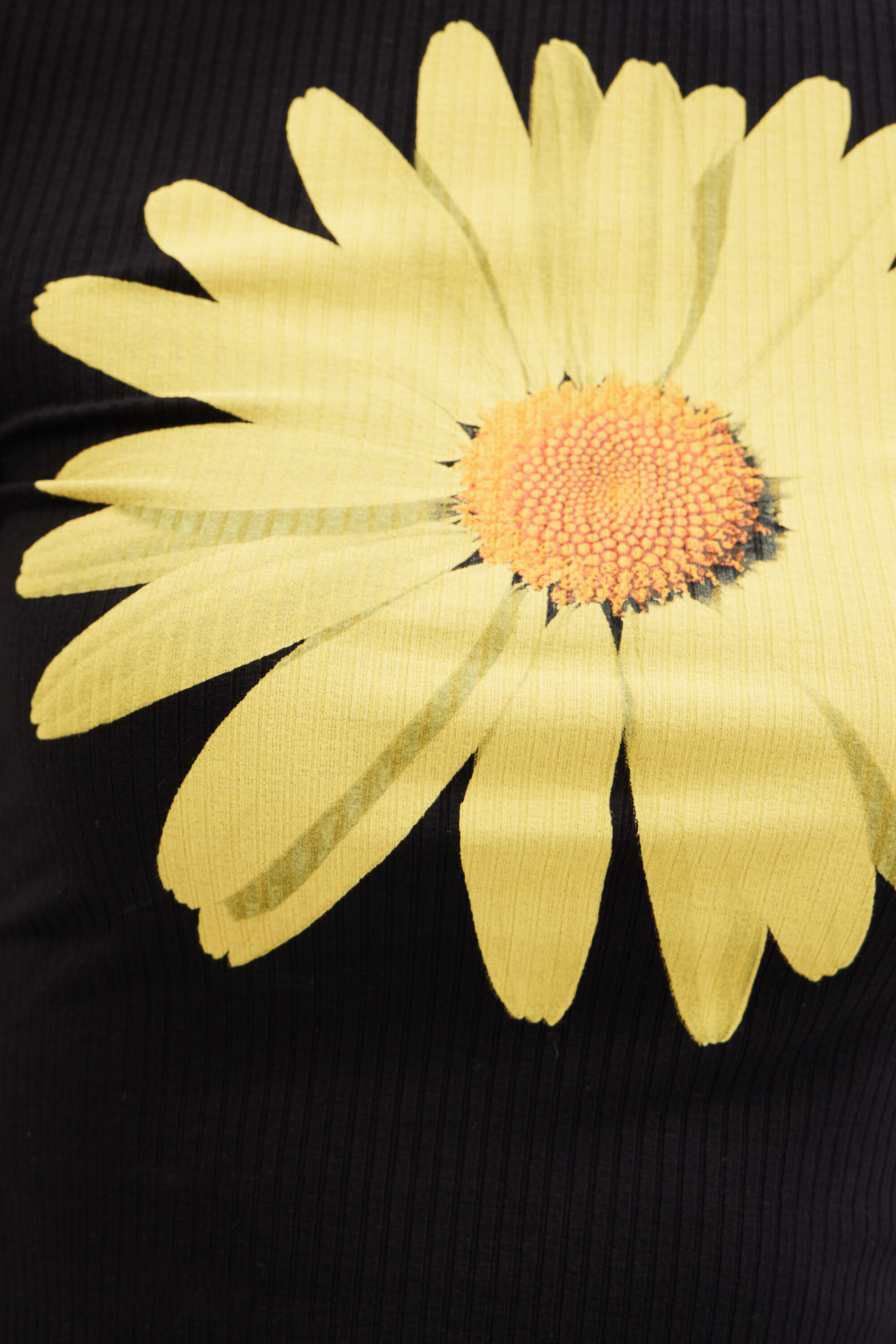 T-shirt marguerites tissu côtelé