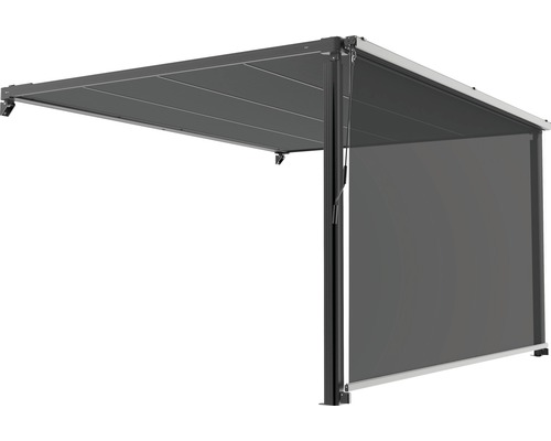 Verticale zonwering, lichtdoorlatend, frame RAL 9011 grafietzwart, geschikt voor pergolazonwering 2,94 x 3,94