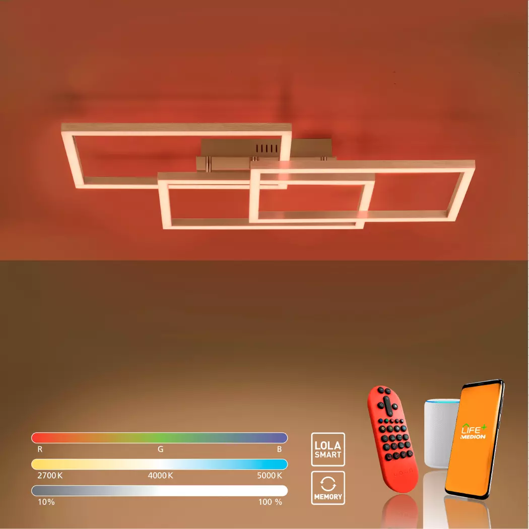 LED-Deckenleuchte LS-Maxi