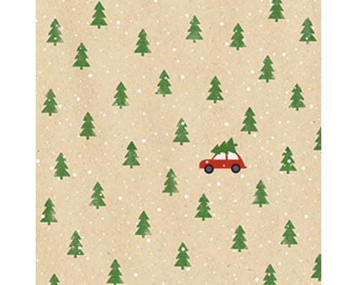 Kerstservetten ByN Little red Car naturel