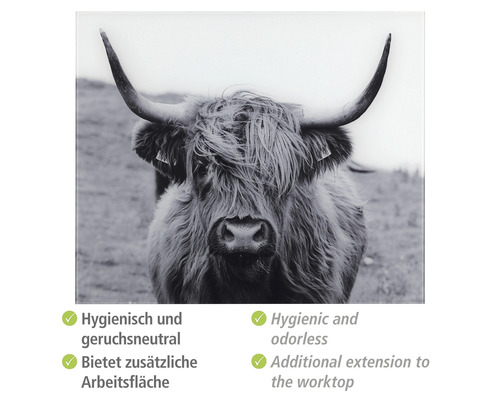 Glazen achterwand Wenko Highland Cattle 60 x 50 cm