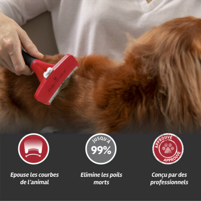Brosse FURminator pour chien à poils courts