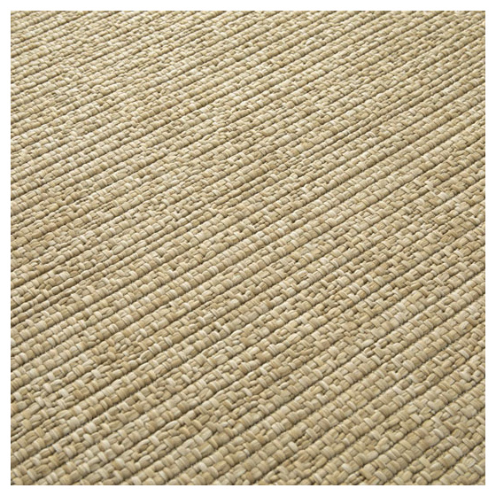 Tapis d'intérieur ou d'extérieur aspect sisal - havana - beige - 200 x 290 cm