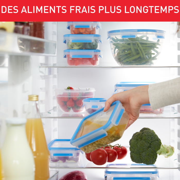 MASTERSEAL FRESH  rectangulaire 1 L
