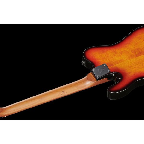 Larry Carlton T7 TS