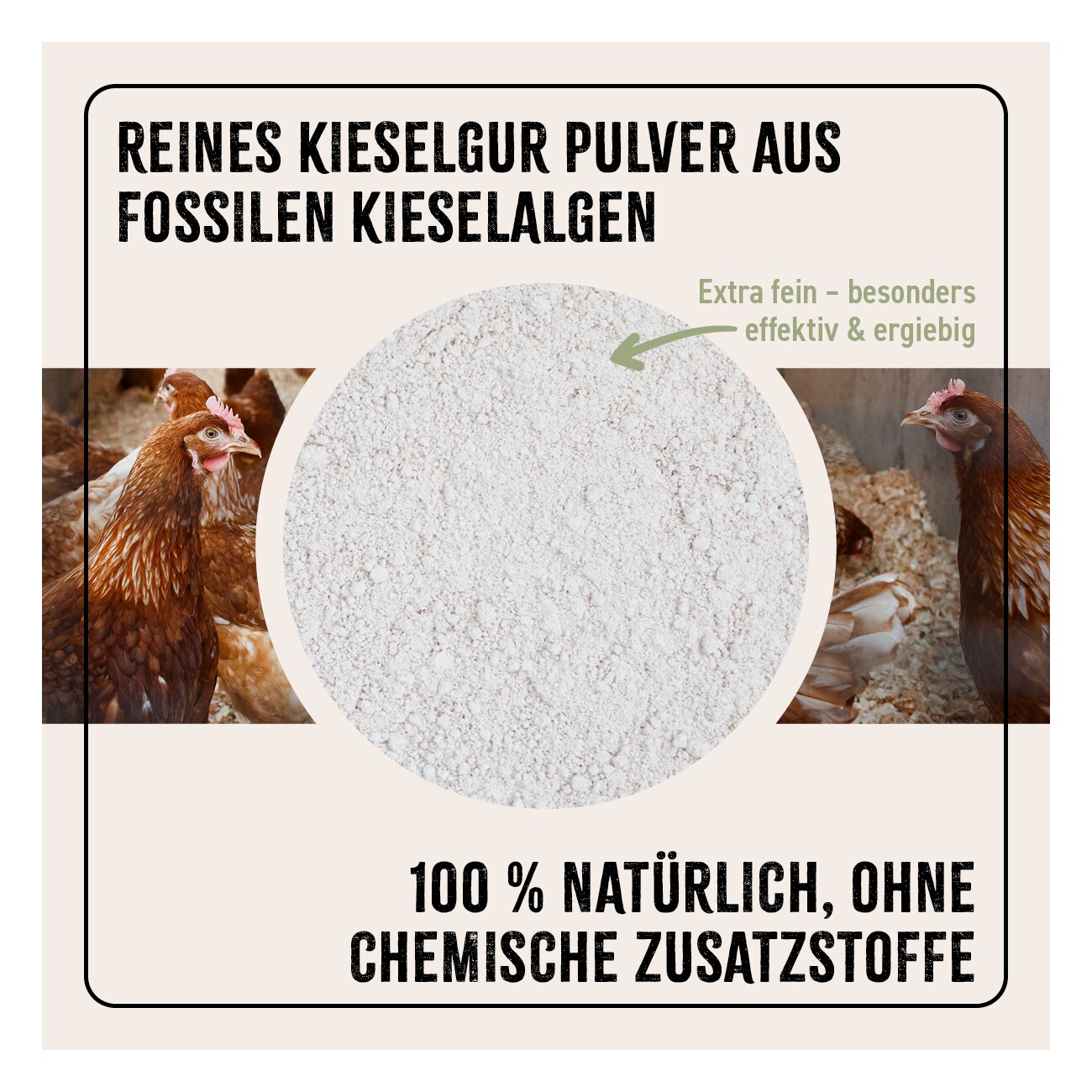 AniForte Kieselgur Pulver inkl. Stäuberflasche 2kg