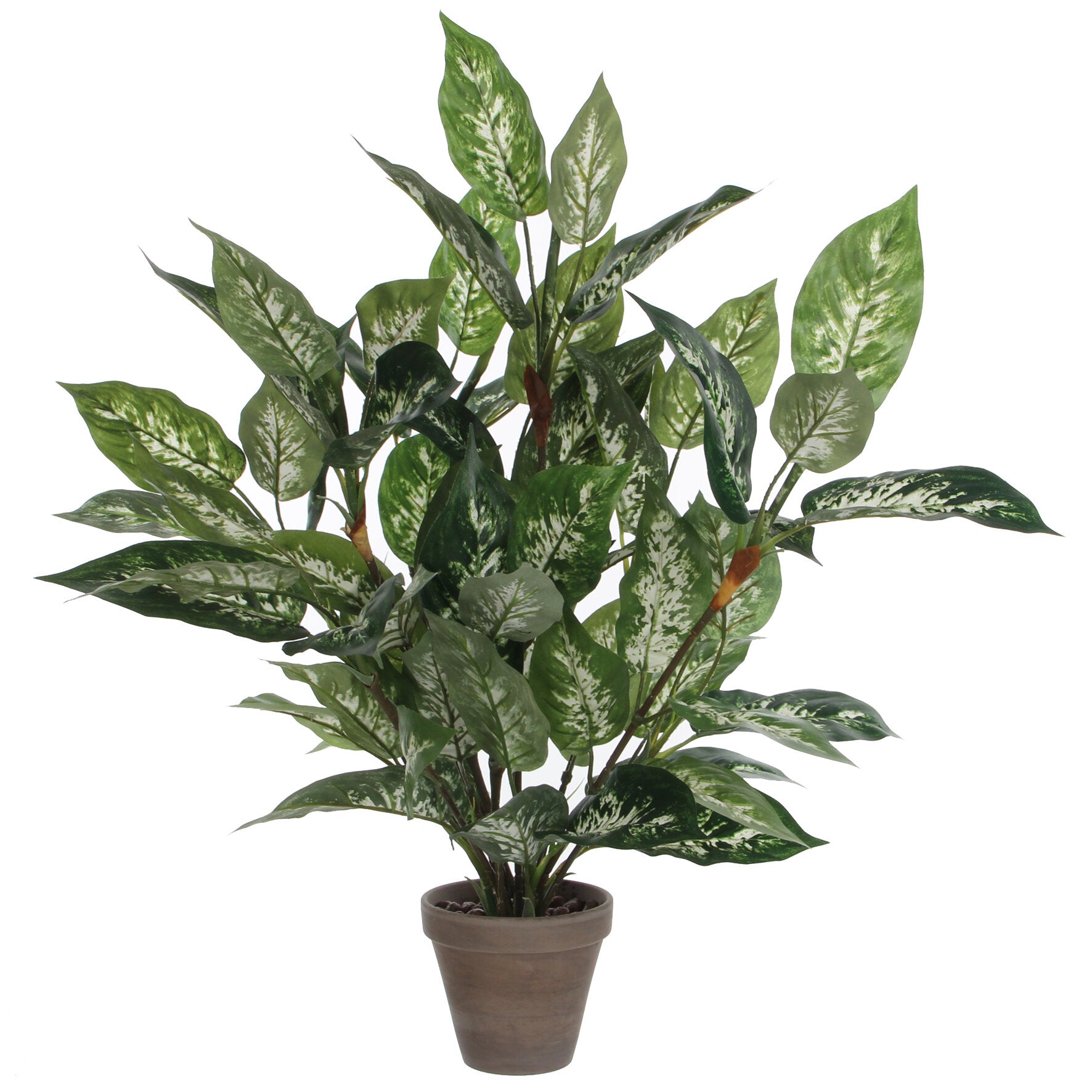 Mica Decorations Kunstplant - dieffenbachia - groen - 70 cm