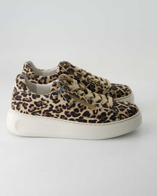 Gabor Comfort 66.488.90 Sneaker in Braun