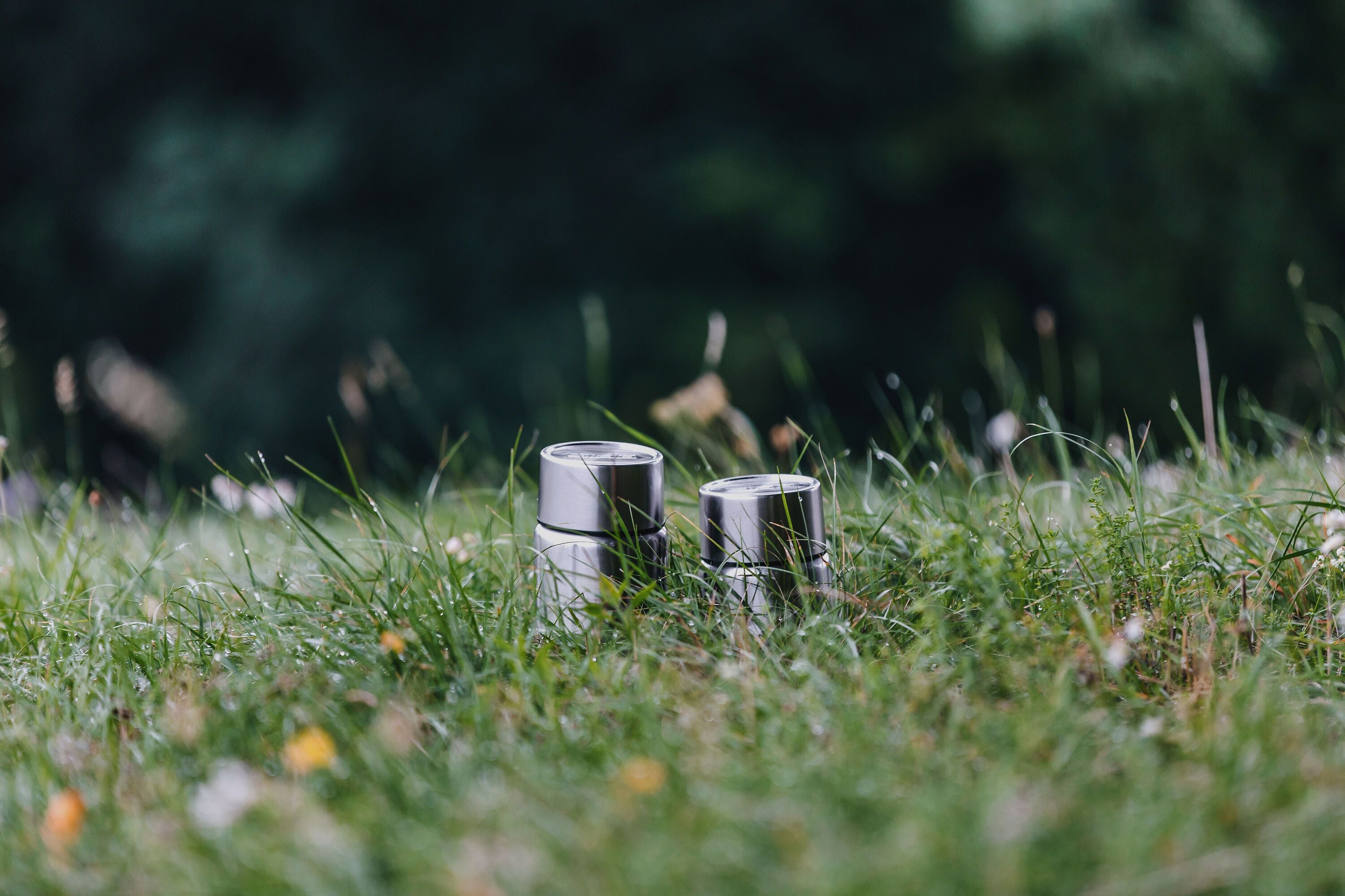 Sigg GEMSTONE Thermo-Speisebehälter - Silber / H: 14.2 cm