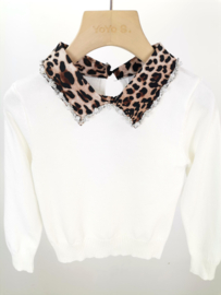 Your leo collar sweater - wit